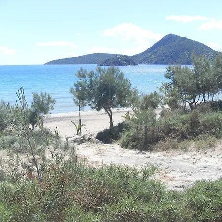 Pavlos - Τολό